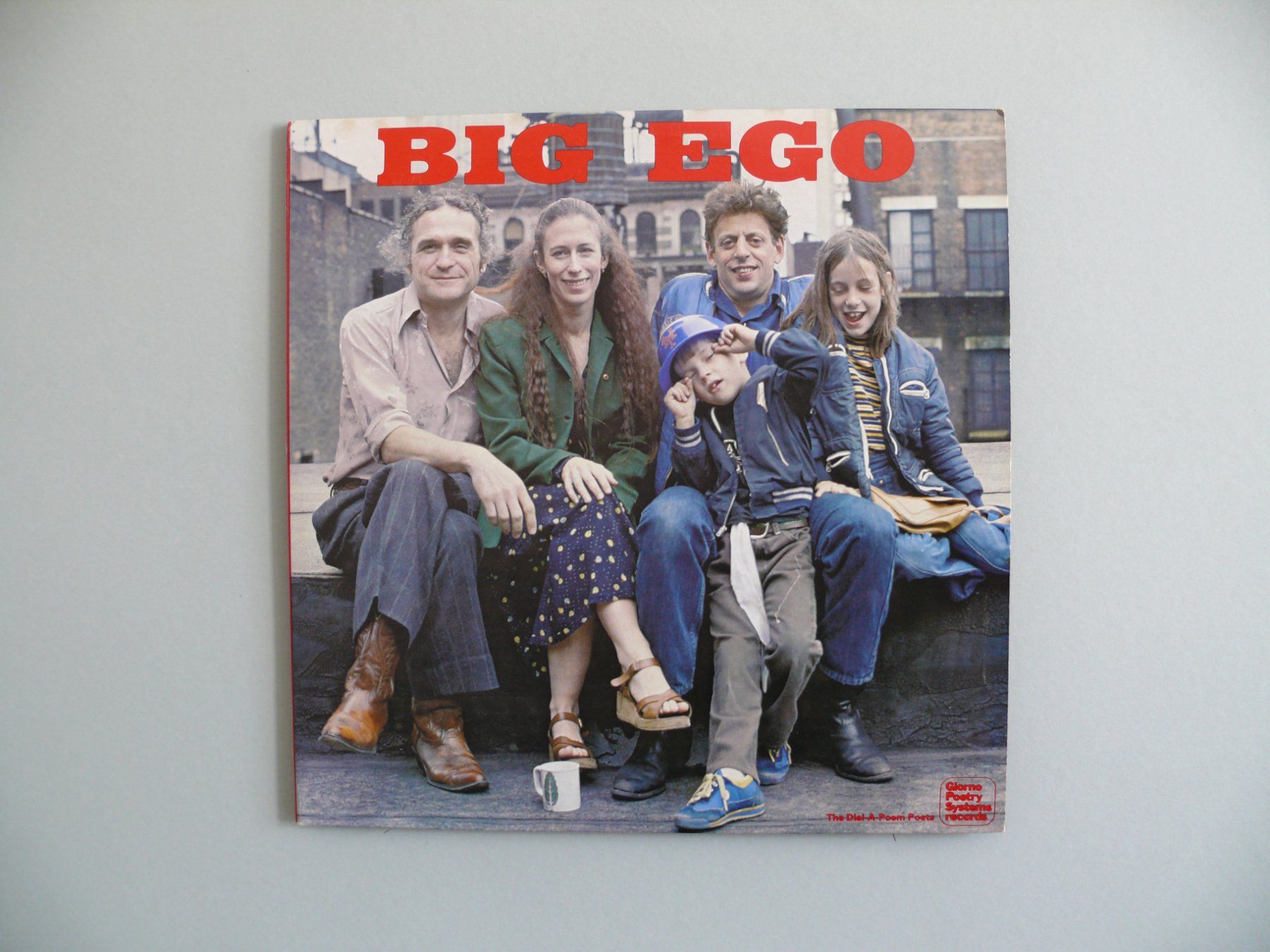 Dischi in vinile: Big Ego – Usato da Scherzingen venduto da packtesan
