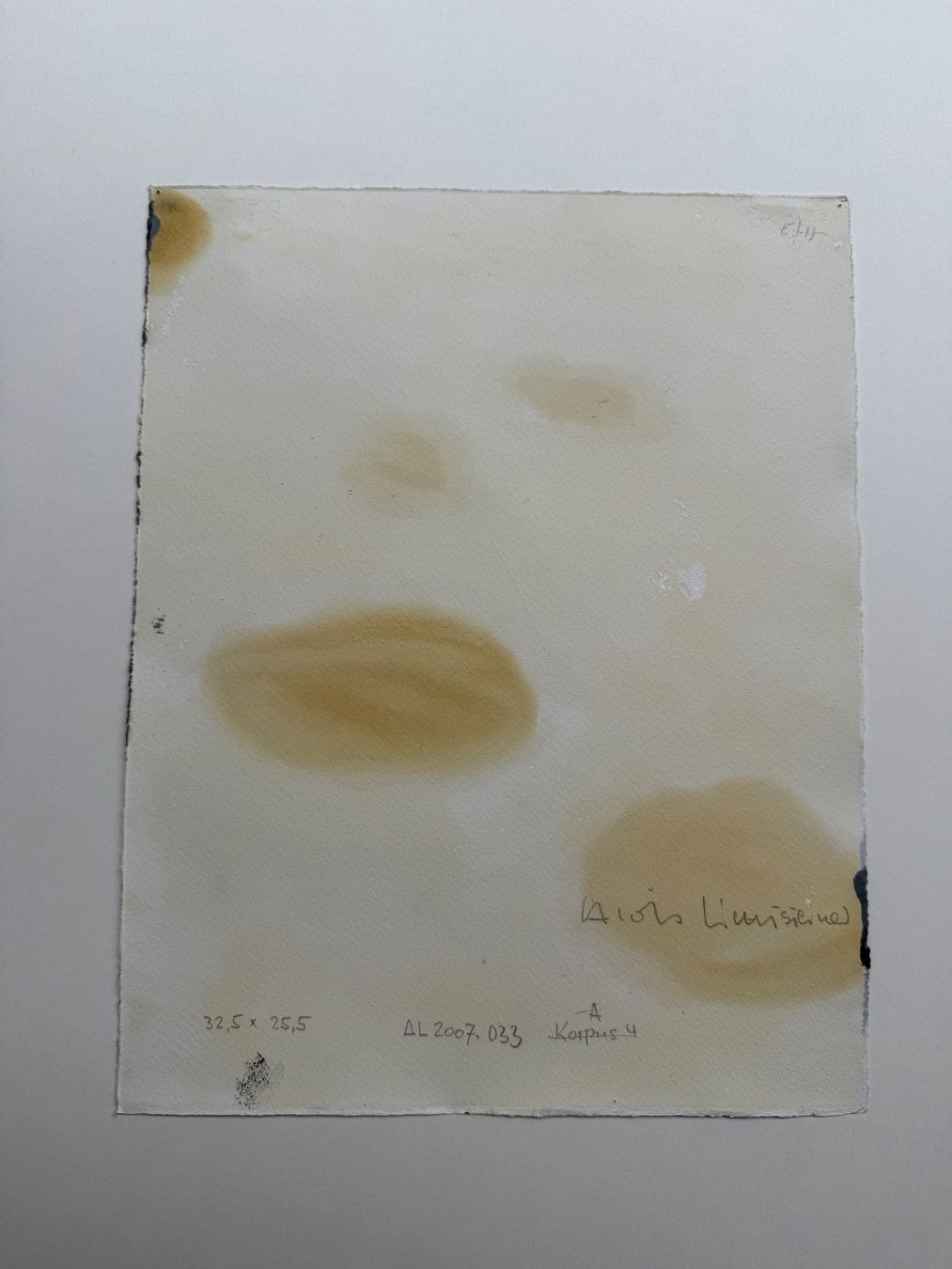 Gemälde: Schweizer Kunst/Werk  20 Jh.  A.Lichtsteiner – Neu (gemäss Beschreibung) aus Bern von mb.kitsune 5