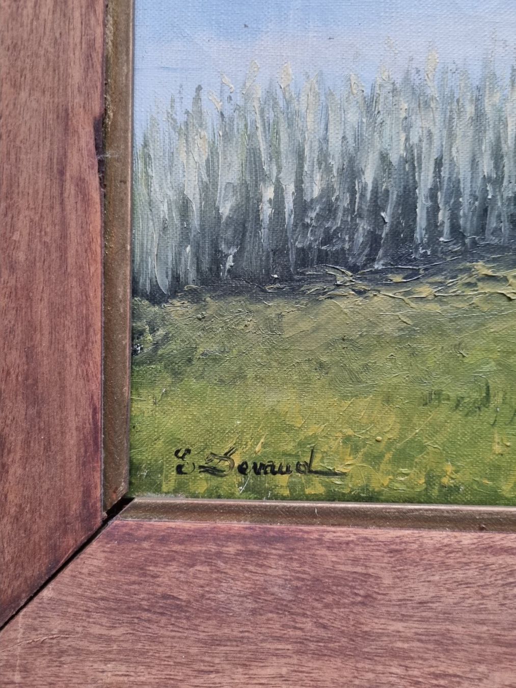 Tele & Cornici: Magnifique tableau d'Eugène Devaud de Madelin – Usato da Grand-Lancy venduto da Evelyne010 1