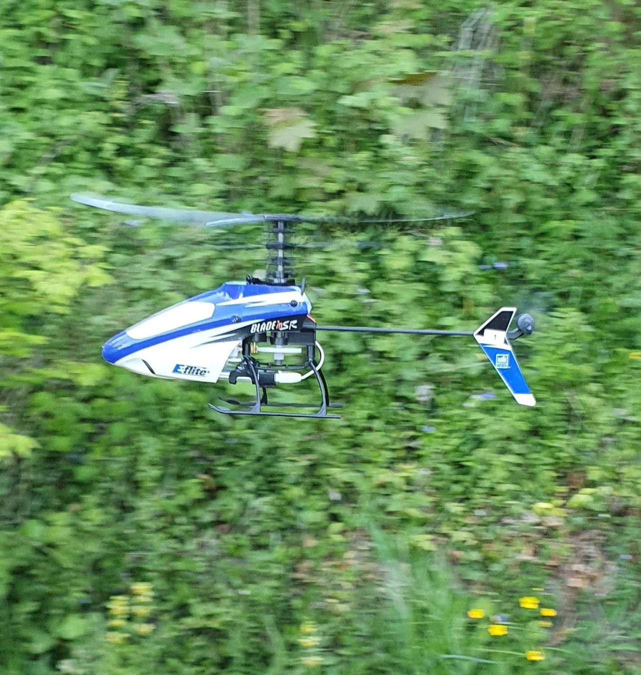 E-Flite Modellismo RC: Blade mSR BNF – Usato da Pully venduto da Winzy