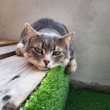 Profile image of bianca94