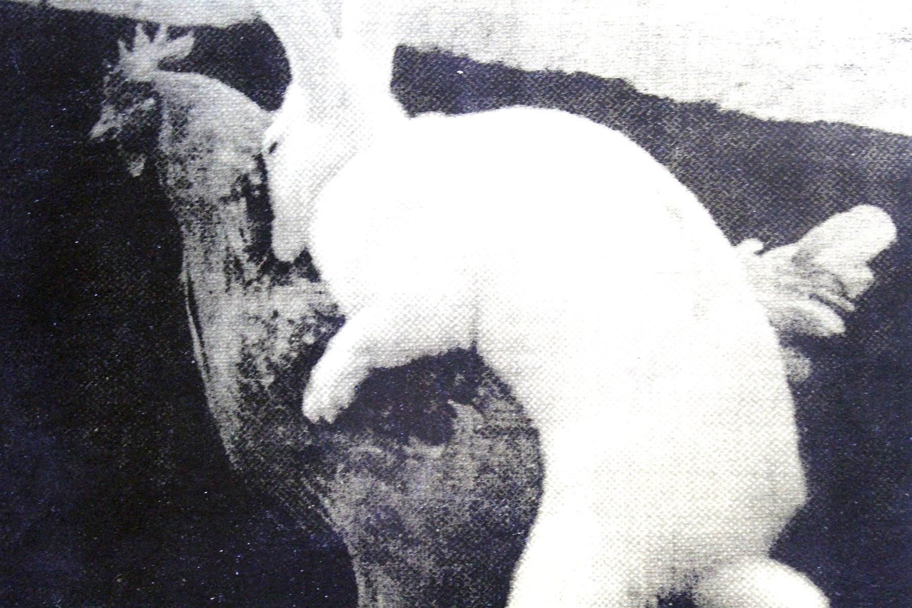 CD: DAS ATOMIC DARMFLORA QUINTETT: Ibiza – Usato da Bern venduto da vinyl-heaven