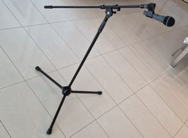 Mikrofon mit Ständer und Schwanenhals