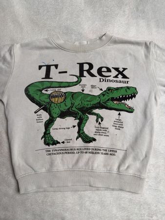 Pullover H&M T-Rex beige Grösse 98/104 mit Gebrauchsspuren