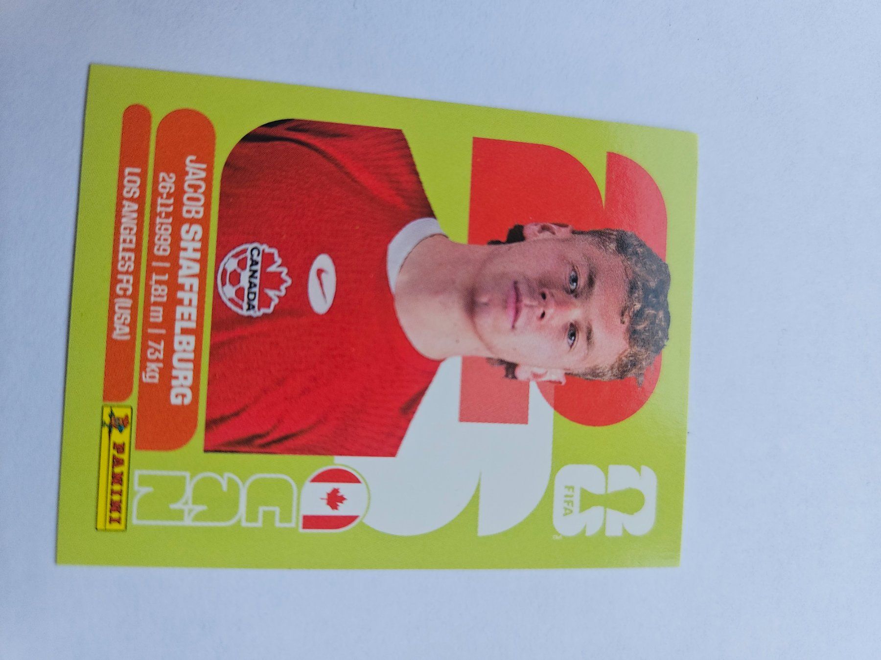 Panini Carte collezionabili: CAN 14 – Usato da Würenlingen venduto da Dinli