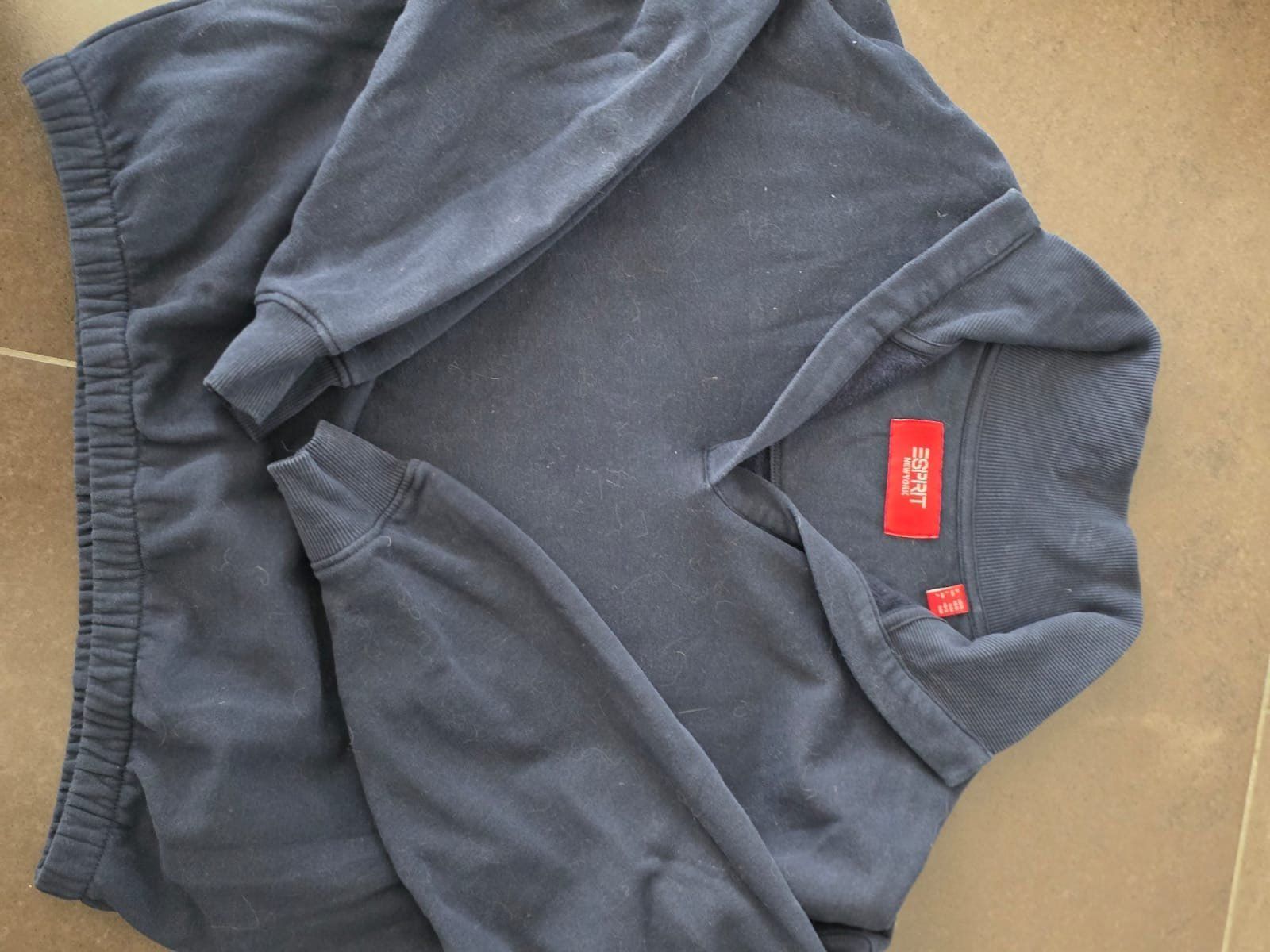 Maglioni & Felpe: Espirt Pulli XS/S – Usato da Bennwil venduto da fawag