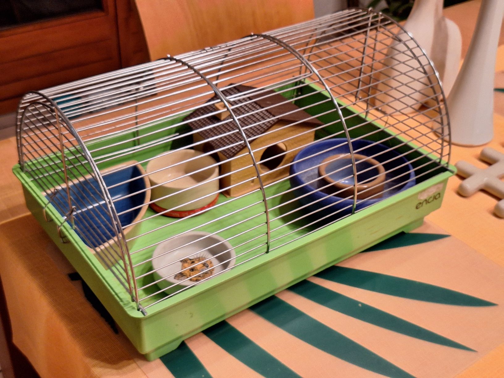 Cages, transport & sécurité: Cage à hamster – D'occasion à Court par triangle02