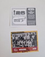 Panini Sticker FWC10