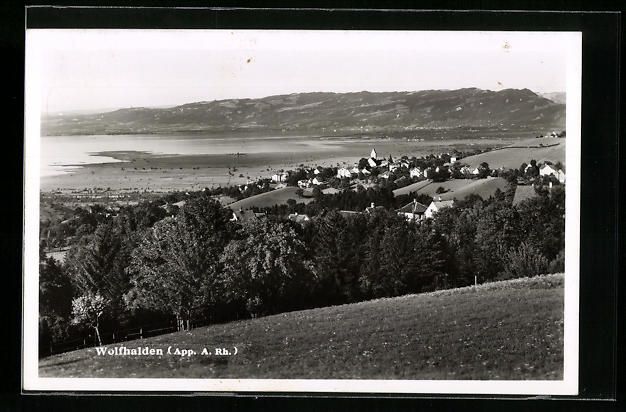 Cartoline postali: Wolfhalden, Panoramablick von der Bergwi – Usato da Berlin venduto da bartko-reher