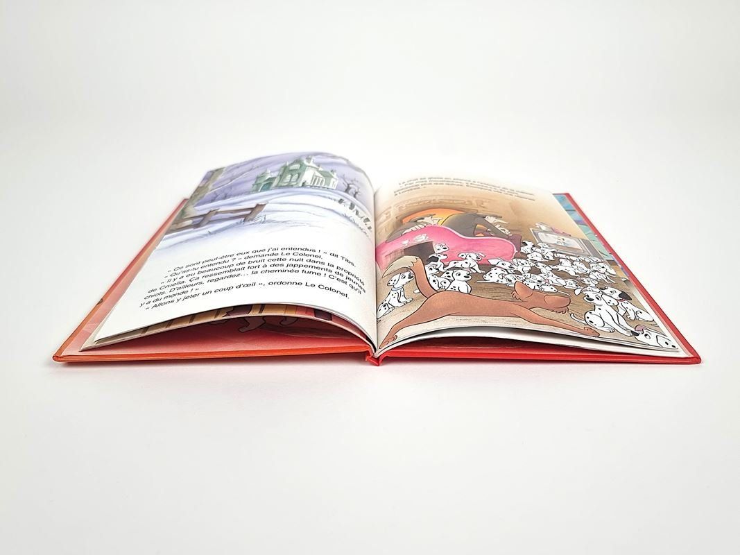 Bücher: Kinderbuch "Les 101 Dalmatiens" Französisch – Gebraucht aus Urtenen-Schönbühl von Restwert_Schoenbuehl 6