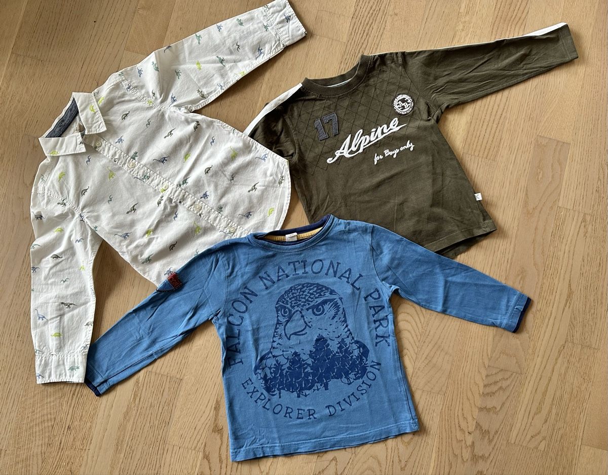 Lotti & Set di vestiti: Hemd & Shirts Gr. 110 – Usato da Kleinandelfingen venduto da Elader