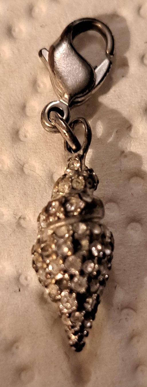 Swarovski Ciondoli: Charm Swarovsky – Usato da Biel/Bienne venduto da raf_2yqq 1