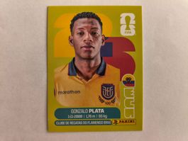 W Cup 2026 Equateur N°16 Plata