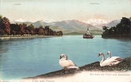 Thoune Battello Boot Schiff Thun