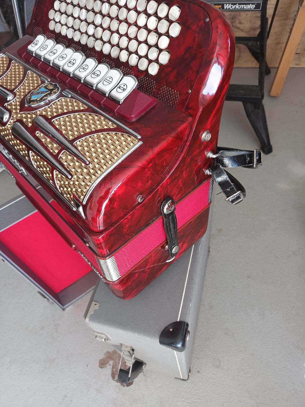 Adria Strumenti musicali: Handorgel – Usato da Speicherschwendi venduto da papaheyer 5