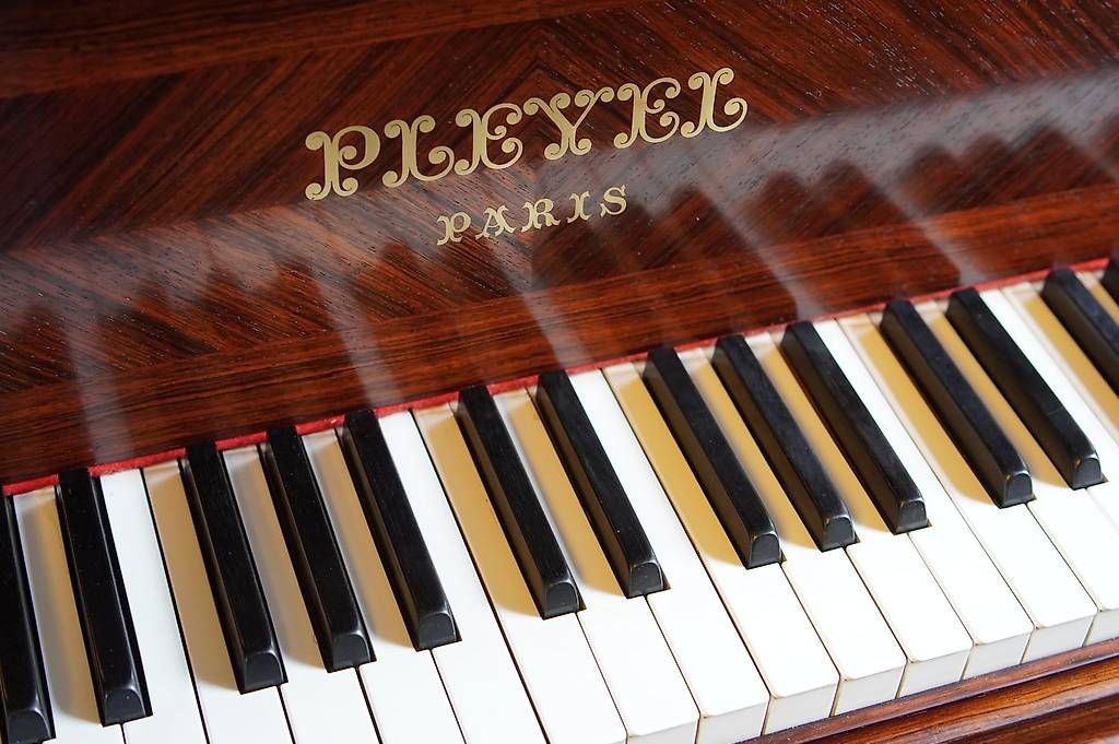 Strumenti musicali: Flügel Pleyel 160 – Usato da Küttigen venduto da PianoSarbach 2