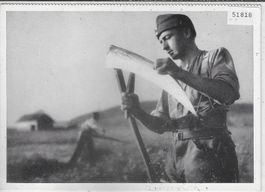 In Memoriam - Soldats aux champs 1939/45 - Photo: H. Steiner
