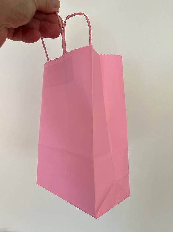 EBoutik Weihnachts-Geschenktüten, 12 Stück – Festliche Papiertüten Mit Griffen, Für Goody Bags