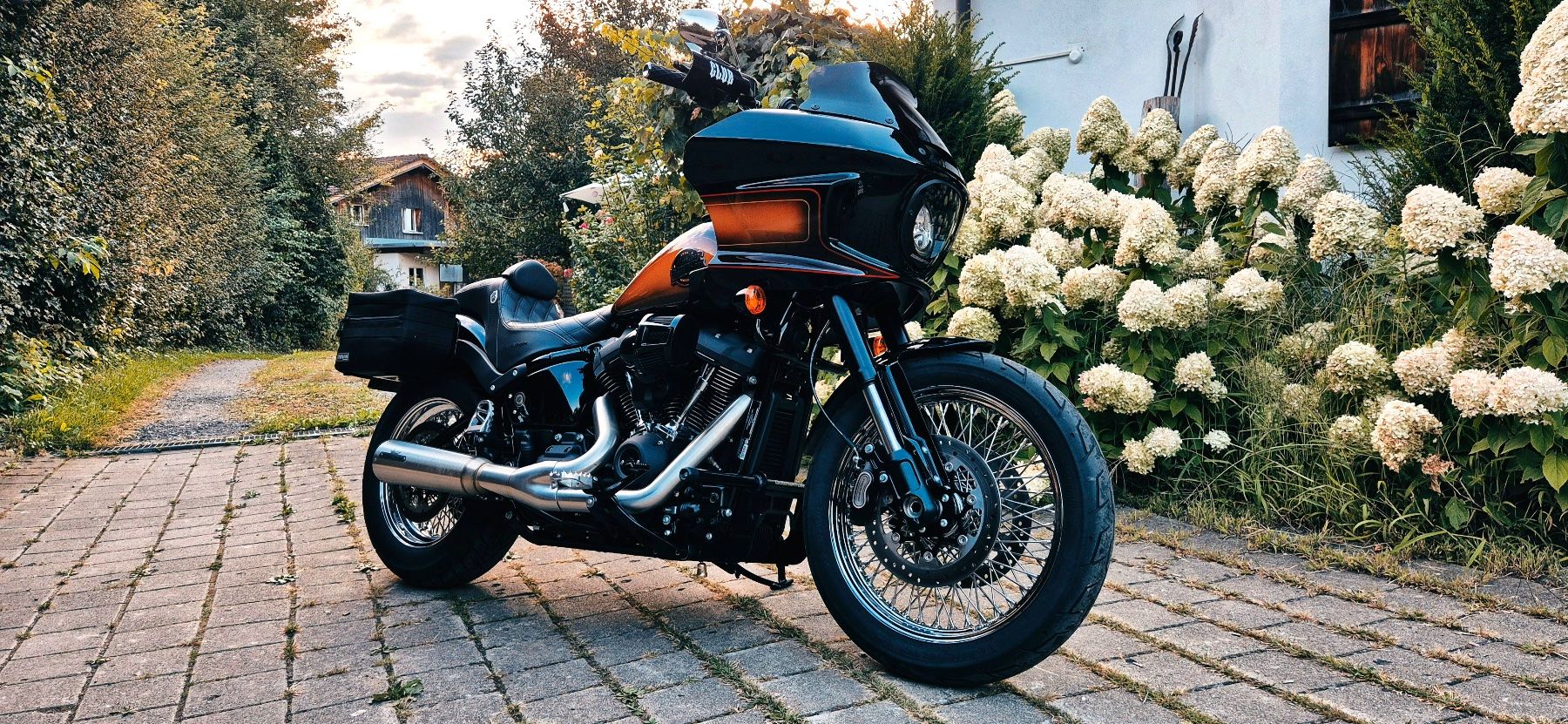 Harley-Davidson Strada: Harley Davidson  Softail Low Rider ST – Usato da Castrisch venduto da Dingwall88 1