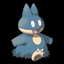 Profile image of DerSammler_