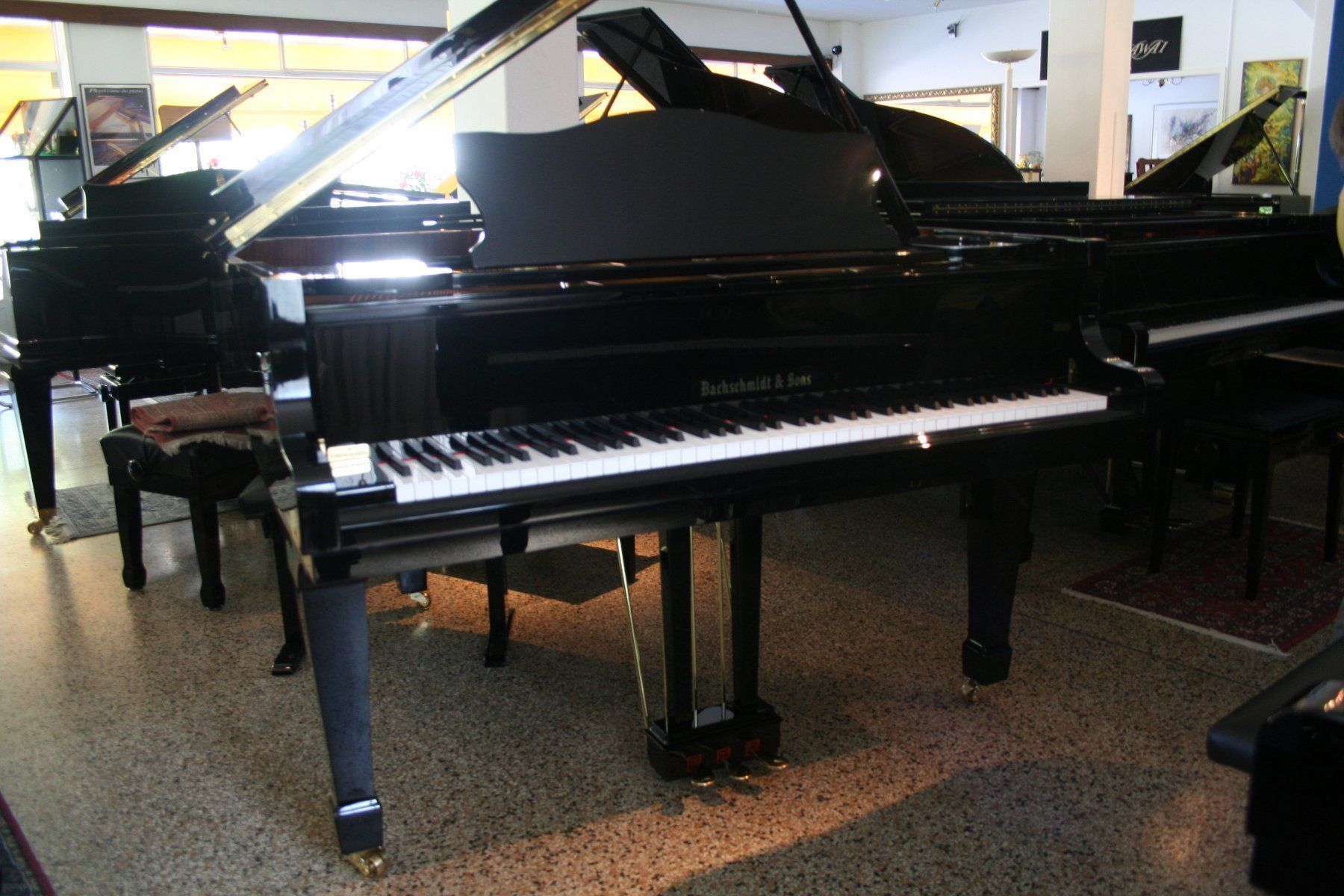 Strumenti musicali: Bachschmidt & Sons 160-Silent, Revidiert – Usato da Bern venduto da Heutschipiano 2