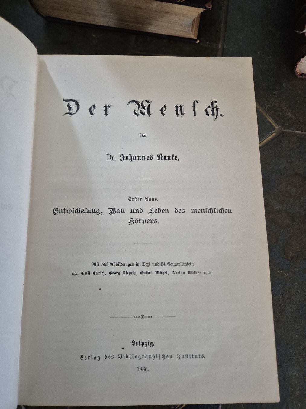 Libri: Ranke, Der Mensch, 2 Bde. OHLdr. 1886 – Usato da Schlieren venduto da HuiBu 2