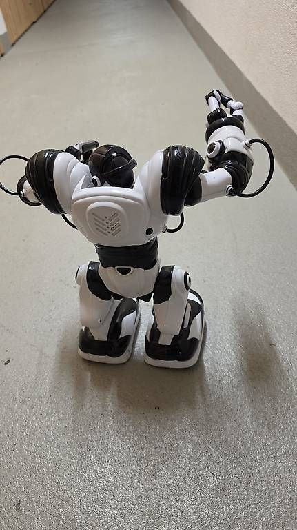 Giocattoli: WowWee Robosapiens / Gratisversand – Usato da Zürich venduto da Tornadorey 1