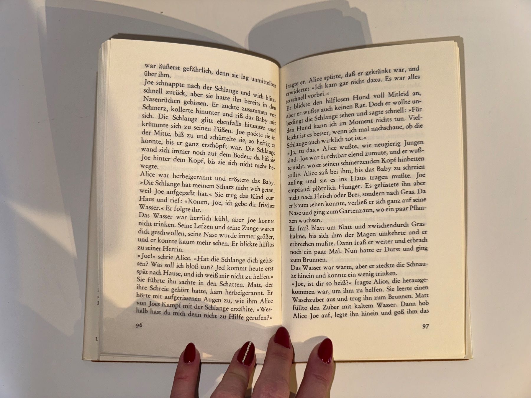 Livres: Buch: Junius Watson, Joe der Setter – D'occasion à Grosswangen par Second_hand_paradise 4