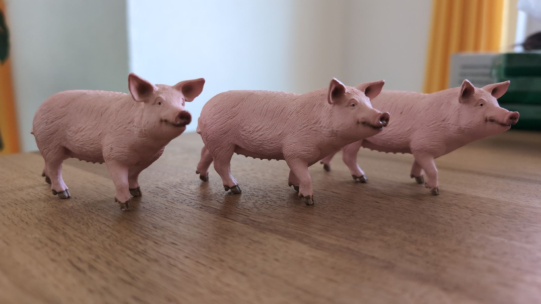Schleich Spielzeuge: 3 Stück Schweine von SCHLEICH – Neu und originalverpackt aus Rüfenach AG von sen_vbz6