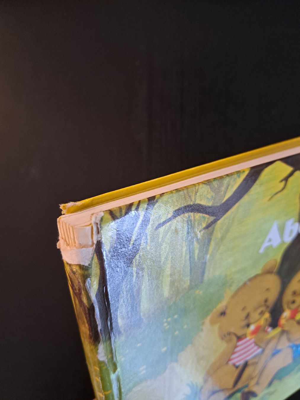 Libri: Bilderbuch • Teddys Abenteuer – Usato da Ottenbach venduto da Rasenmaeeher 4