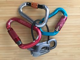 Kletterkarabiner Set Edelweiss Black Diamond gebraucht