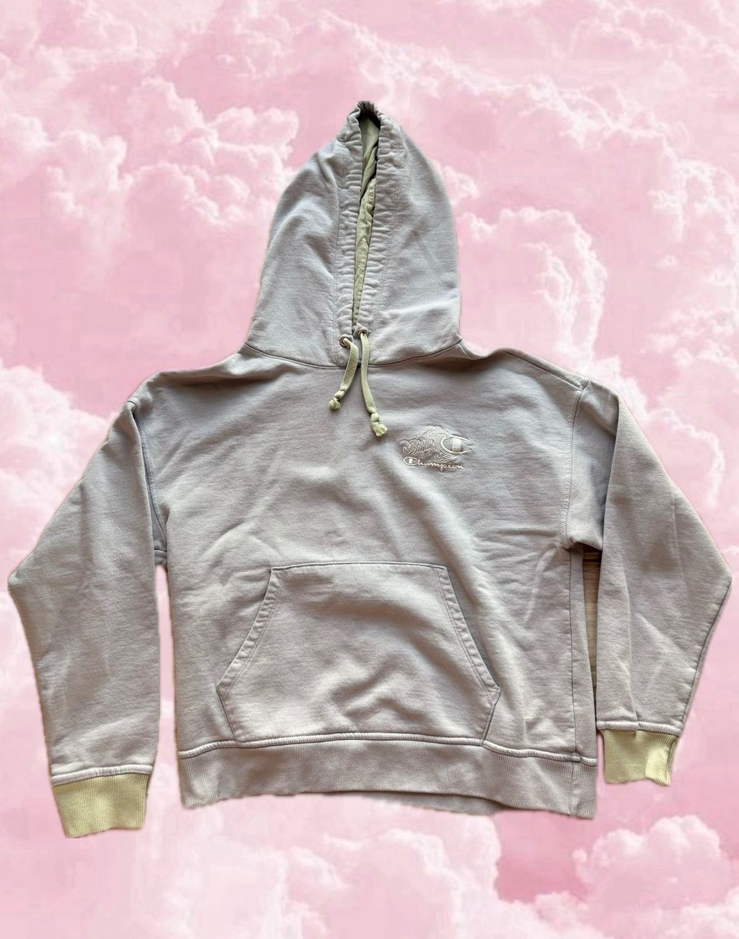 Champion Maglioni & Felpe: Champion Pullover – Usato da Wigoltingen venduto da _vntg_