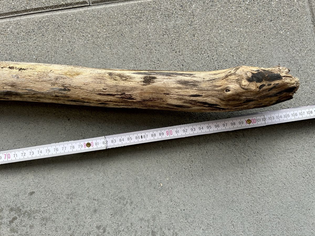Articoli in legno: Schwemmholz Ast 104 cm lang  – Nuovo (secondo la descrizione) da St. Urban venduto da uschi73 5