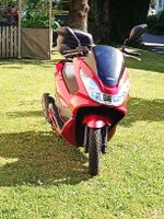 Roller nur im Sommer gefahren – gepflegt & bereit zum Fahren