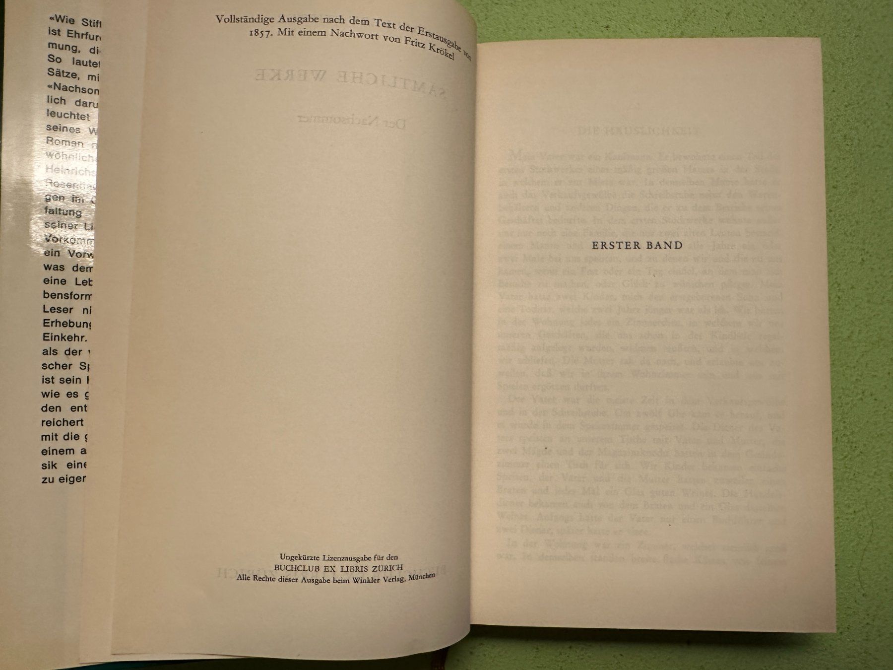 Libri: Adalbert Stifter: Der Nachsommer – Usato da Zürich venduto da allp 3