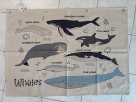 Micasa Kids Wandbild Augustin Wal Motiv 107x76 cm neu