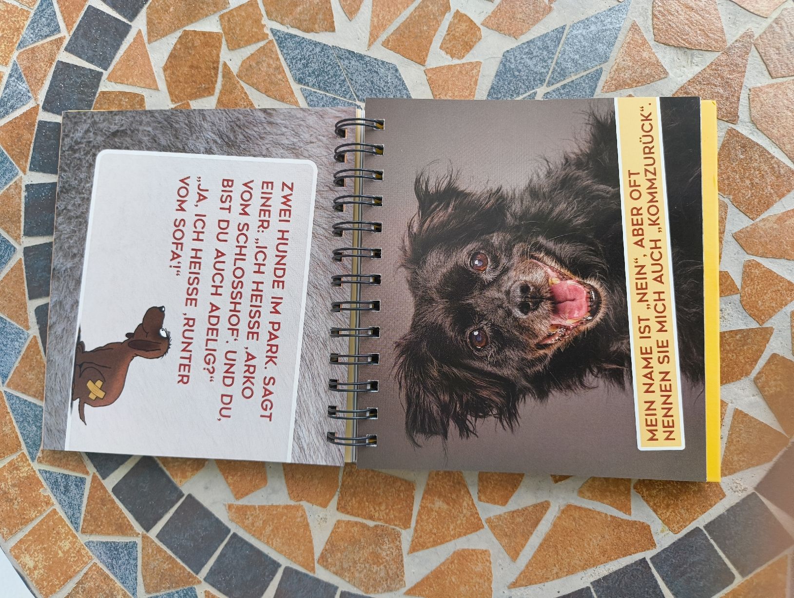 Bücher: Uli Stein für echte Hundefreunde  – Gebraucht aus Kyburg von mir_8b67 1