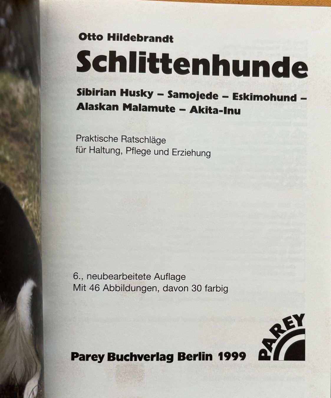 Libri: Hildebrandt Otto, Schlittenhunde – Nuovo (secondo la descrizione) da Sarnen venduto da Livres 2