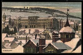 Steindruck-AK Zürich, Blick vom Lindenhof auf die Hochschule