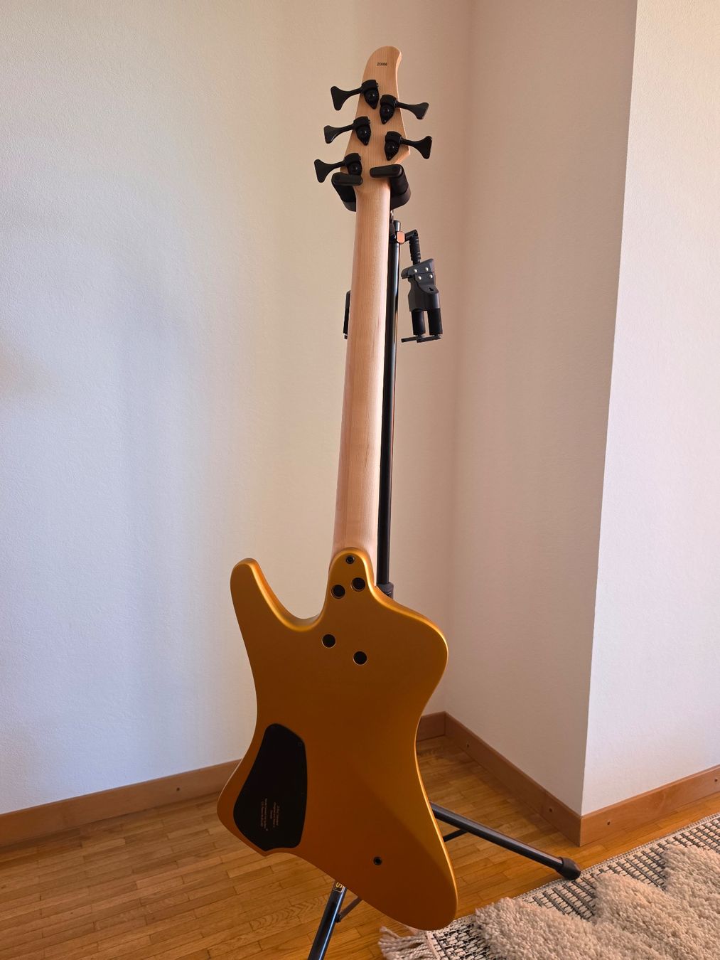 Strumenti musicali: Dingwall D-Roc 5 + premium gig bag – Nuovo (secondo la descrizione) da Bernex venduto da jon_FSK 3