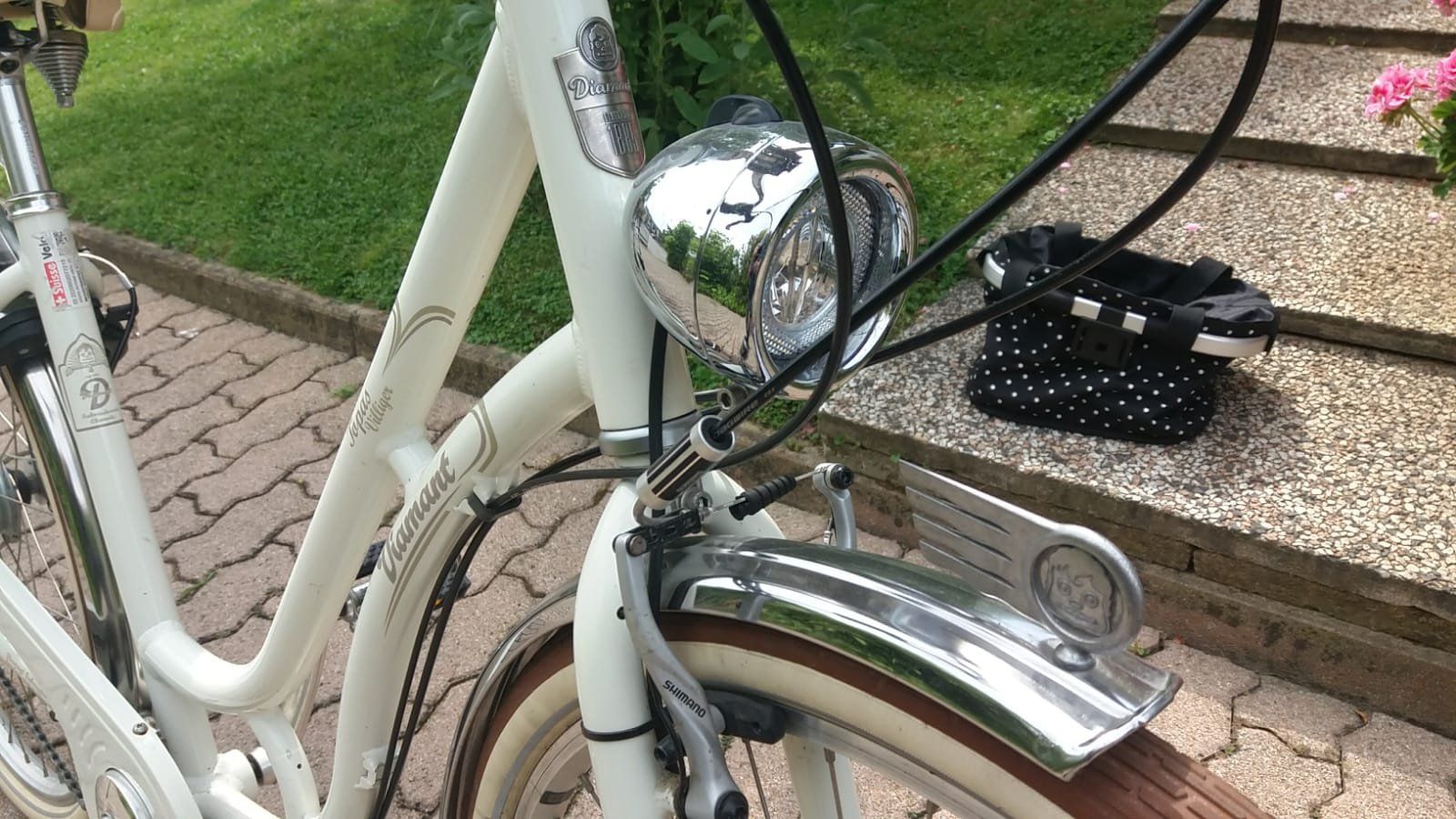 Villiger Biciclette: Diamant Topas Villiger con cestino – Usato da Caneggio venduto da A_NN_A 1