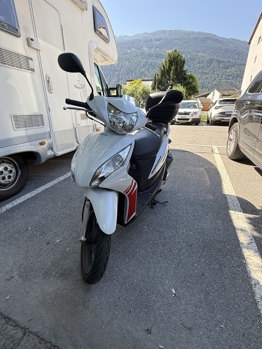Honda Scooters: Honda NSC 50 roller – Neuf (Voir description) à Malix par nik_js95