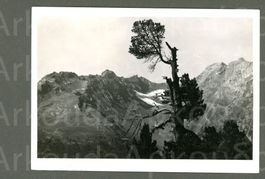 AK sw Alp La Schera GR Il Fuorn,Nationalpark © Grass ≈ 1940