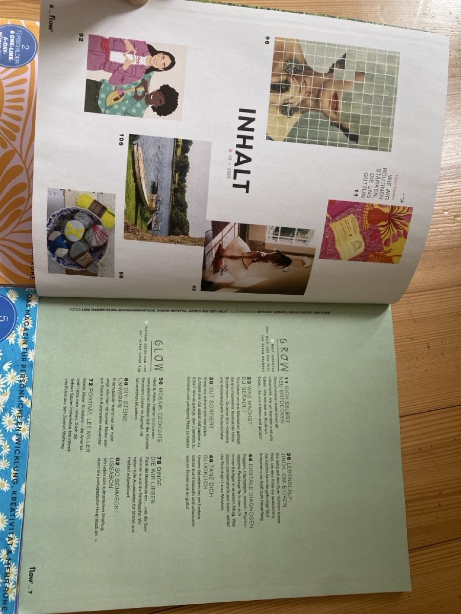 Revues & Magazines: Vier Flow Magazine – D'occasion à Villmergen par Fabiola22 4