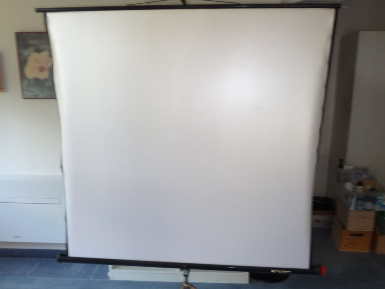 Home Cinema: Projektor /Beamer-Leinwand – Usato da Zumikon venduto da Wpt7