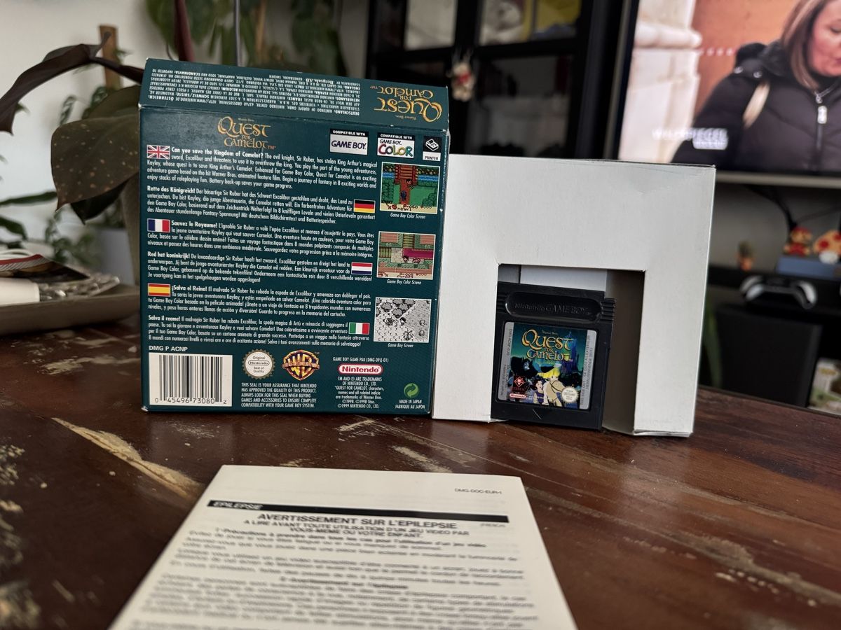 Nintendo Giochi: Quest for Camelot Gameboy Color – Nuovo (secondo la descrizione) da Brugg AG venduto da jac_qw5s 1