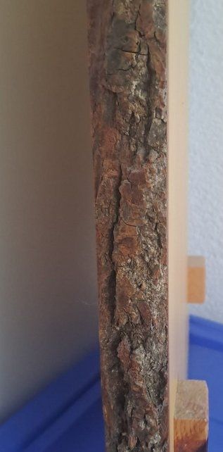 Orologi: Wand- Uhr mit Pferd & Hufeisen – Usato da Zetzwil venduto da Sonneblueme987 6