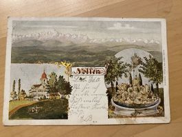 Nollen Thurgau