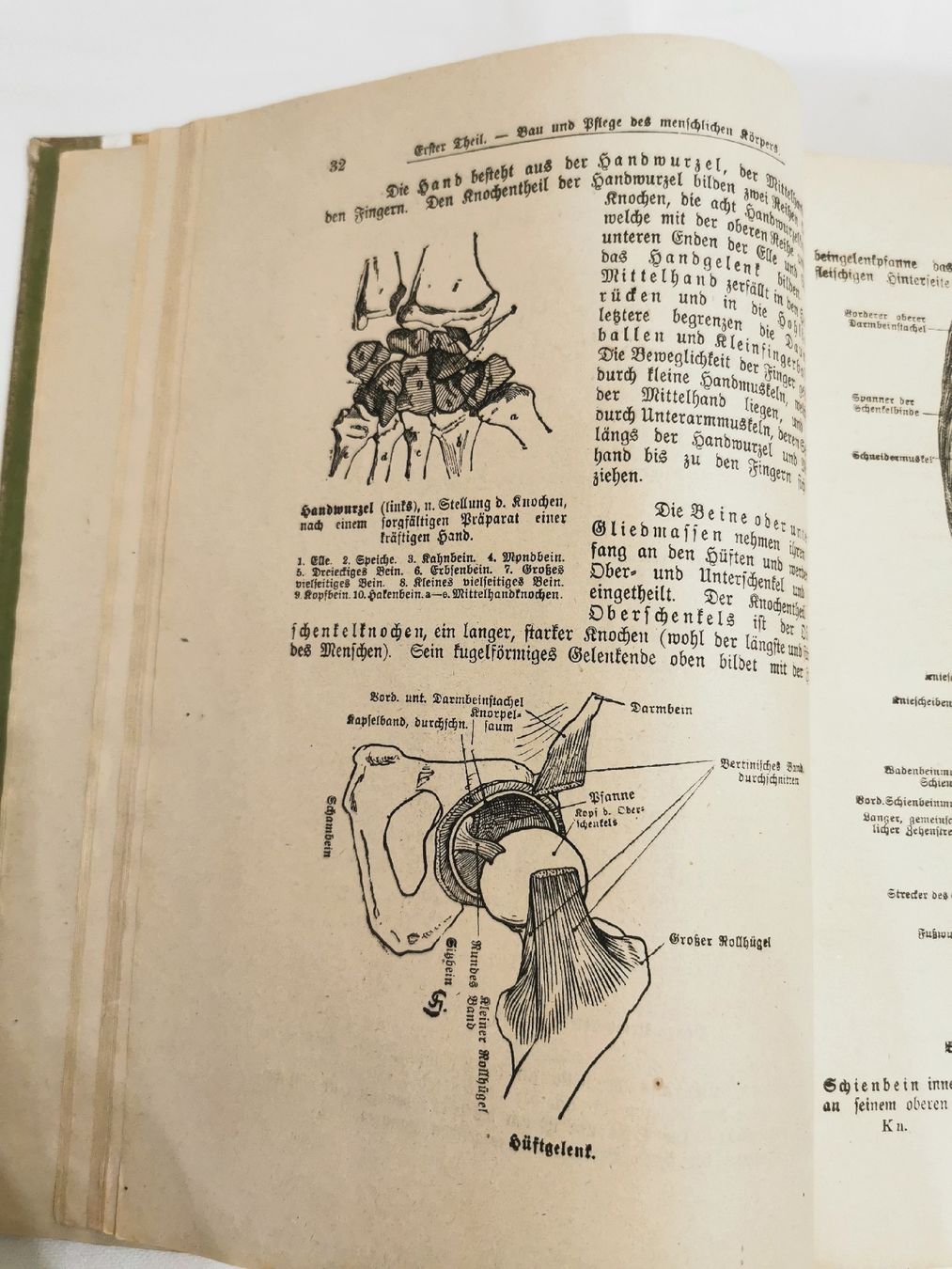 Bücher: Das große Kneippbuch Ein Volksbuch Gesunde und Kranke Msgr. – Gebraucht aus Basel von Treasurehunter 7