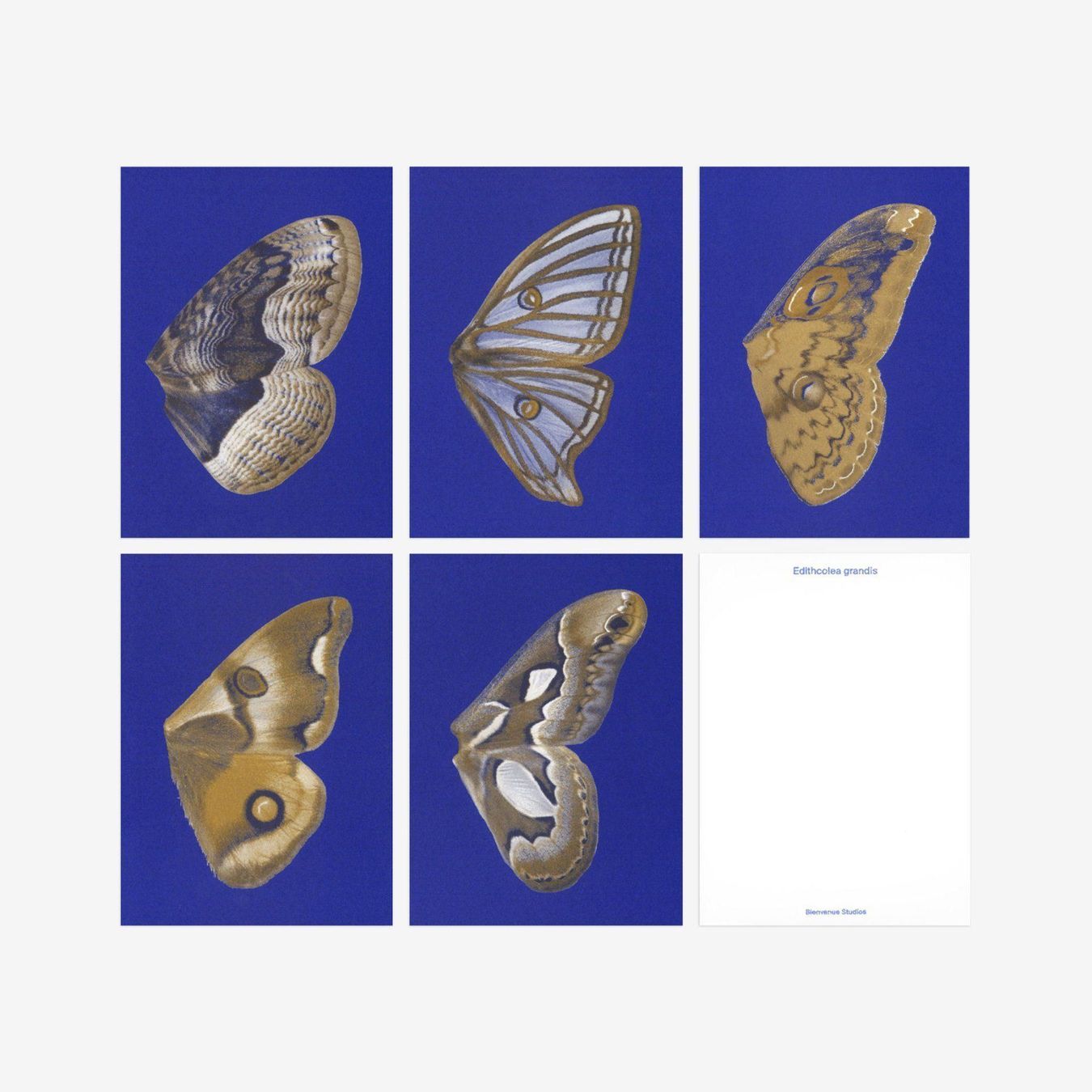 Cartoline: N° 14 Moon Fluttering – Nuovo e nell'imballaggio originale da Zürich venduto da BienvenueStudios